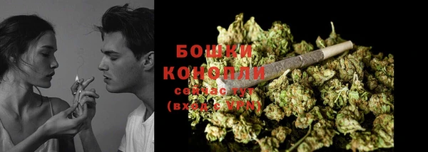 дживик Богданович
