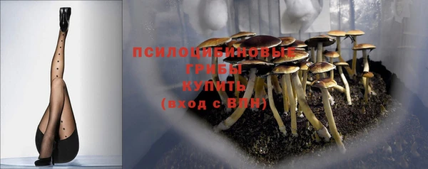 спиды Богородицк