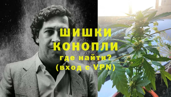 спиды Богородицк