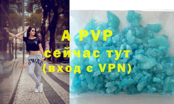 дживик Богданович