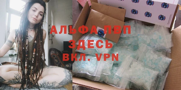 спиды Богородицк
