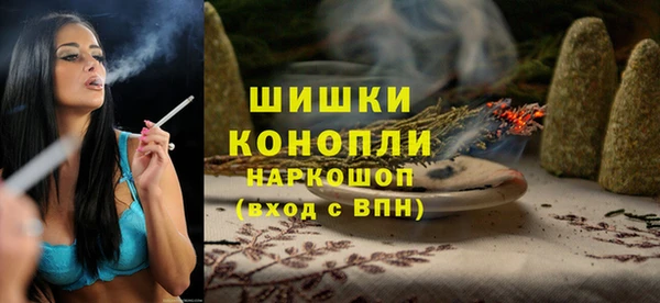 спиды Богородицк